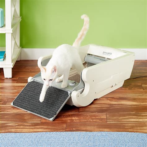 electric litter box and kittens|self cleaning kitty litter box.